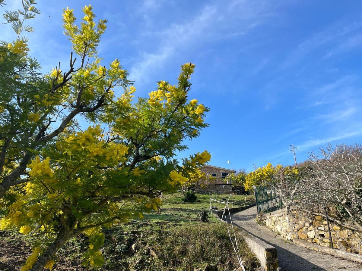 Agriturismo Le Mimose Imperia Buitenkant foto
